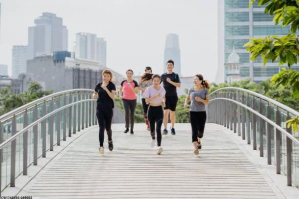 机关干部体育教育培训的课程与实施要点